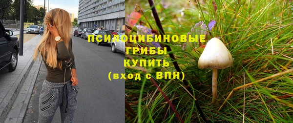 хмурый Богородицк