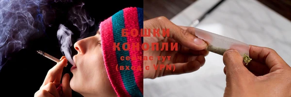 шишки Белокуриха