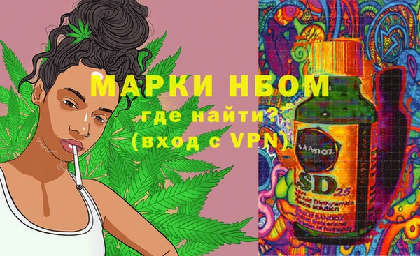 хмурый Богородицк