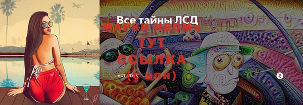 хмурый Богородицк