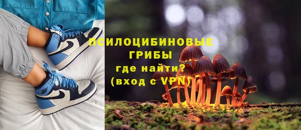 сатива Богородск