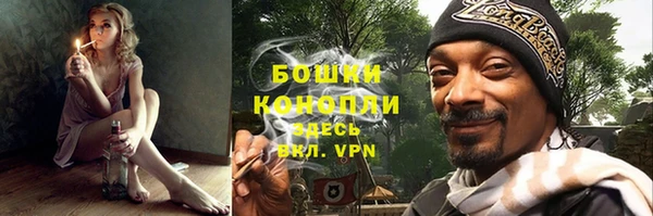амф Богданович