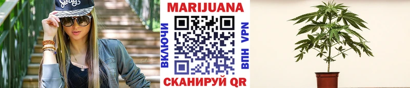 Конопля MAZAR Барнаул